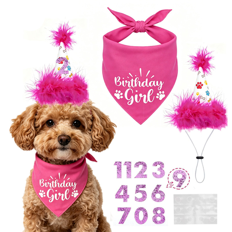 Pet Supplies In Bulk - Köpek Doğum Günü Parti Seti Bandana