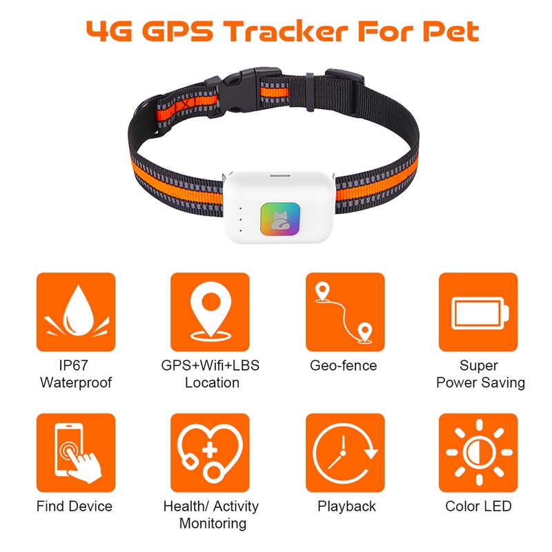 Pet Gps Tracker Collar - Renkli LED Işıklı GPS Evcil Hayvan