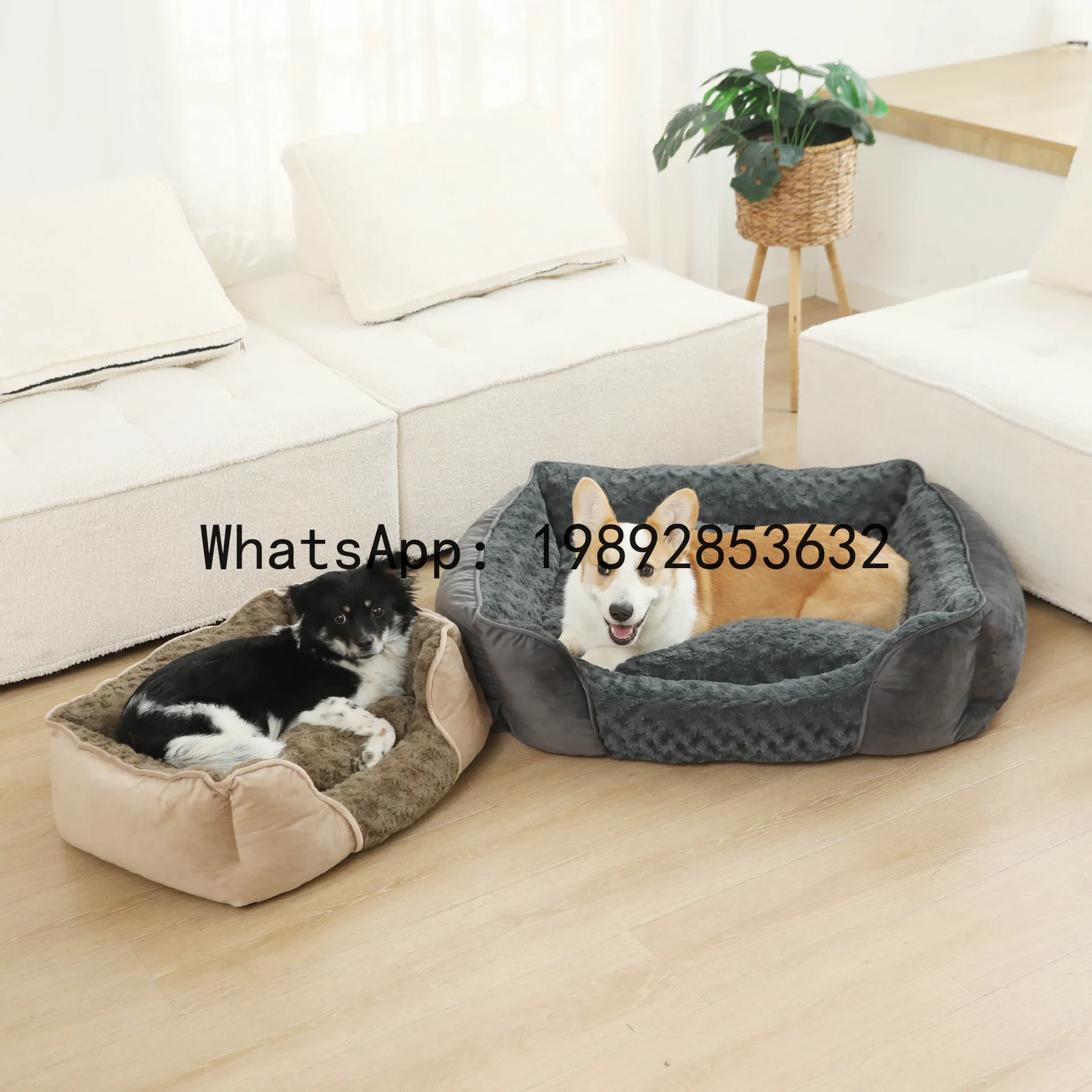 Pet X Supplies - X kedi evi yarı kapalı köpek