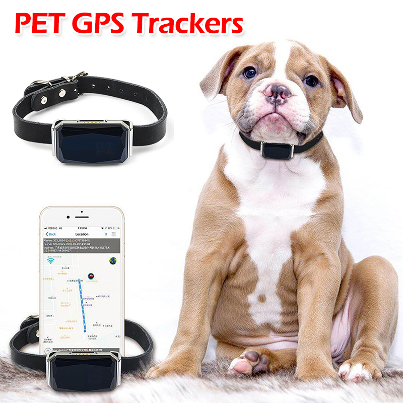 Pet Gps Tracker Collar - Evcil Hayvan GPS İzleyici Konum Ayarlanabilir
