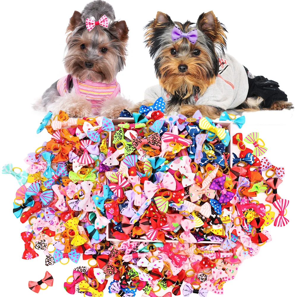 Pet Supplies In Bulk - 50 adet köpek yayları lastik bantlar