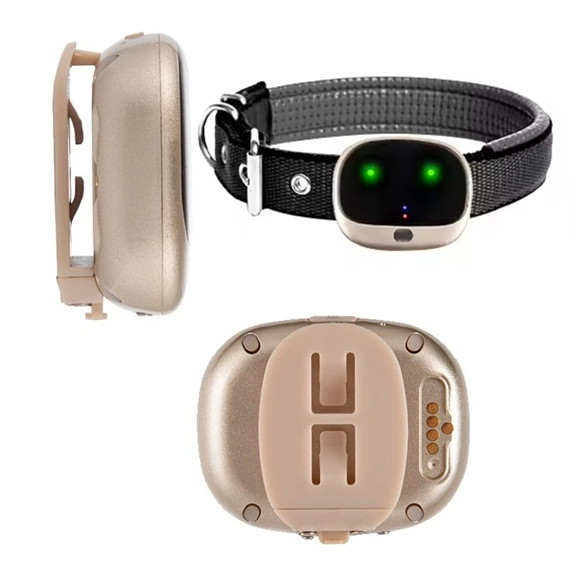 4G su geçirmez Gps takip cihaz - Pet Gps Tracker Collar incelemesi ve fiyatı