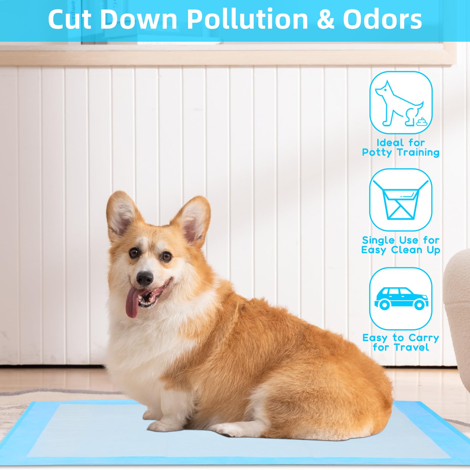 Köpekler için Sızdırmaz Çiş Pe - Pet Supplies Wholesale incelemesi ve fiyatı