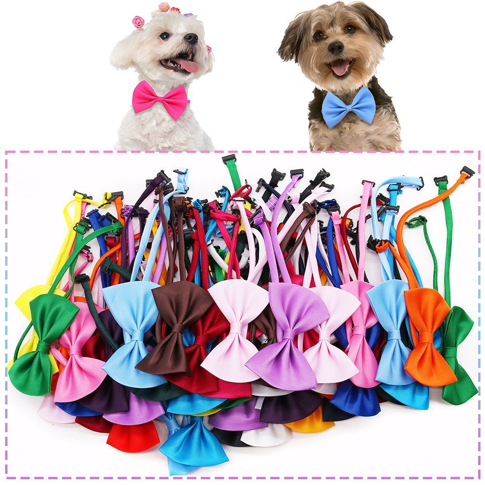 Ayarlanabilir Moda Köpek Papyo - Pet Supplies In Bulk incelemesi ve fiyatı