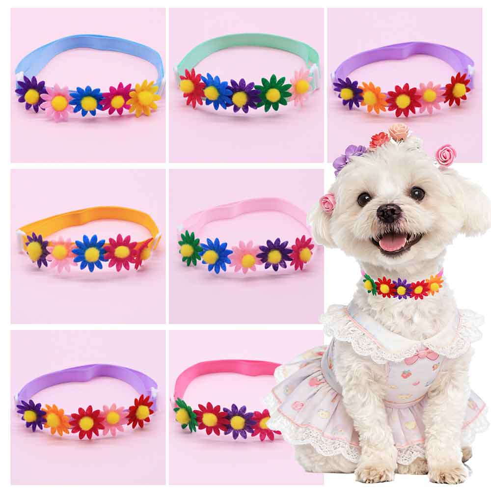 50 adet renkli köpek papyonlar - Pet Supplies Wholesale incelemesi ve fiyatı