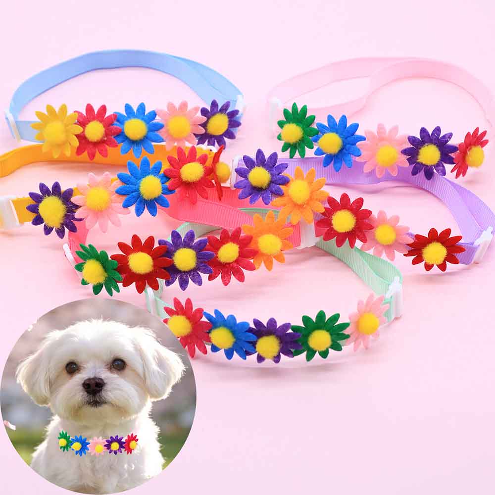 50 adet renkli köpek papyonlar - Pet Supplies Wholesale incelemesi ve fiyatı