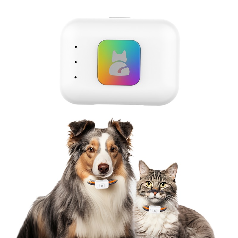 Evcil Hayvan GPS AGPS İzleme C - Pet Gps Tracker Collar incelemesi ve fiyatı