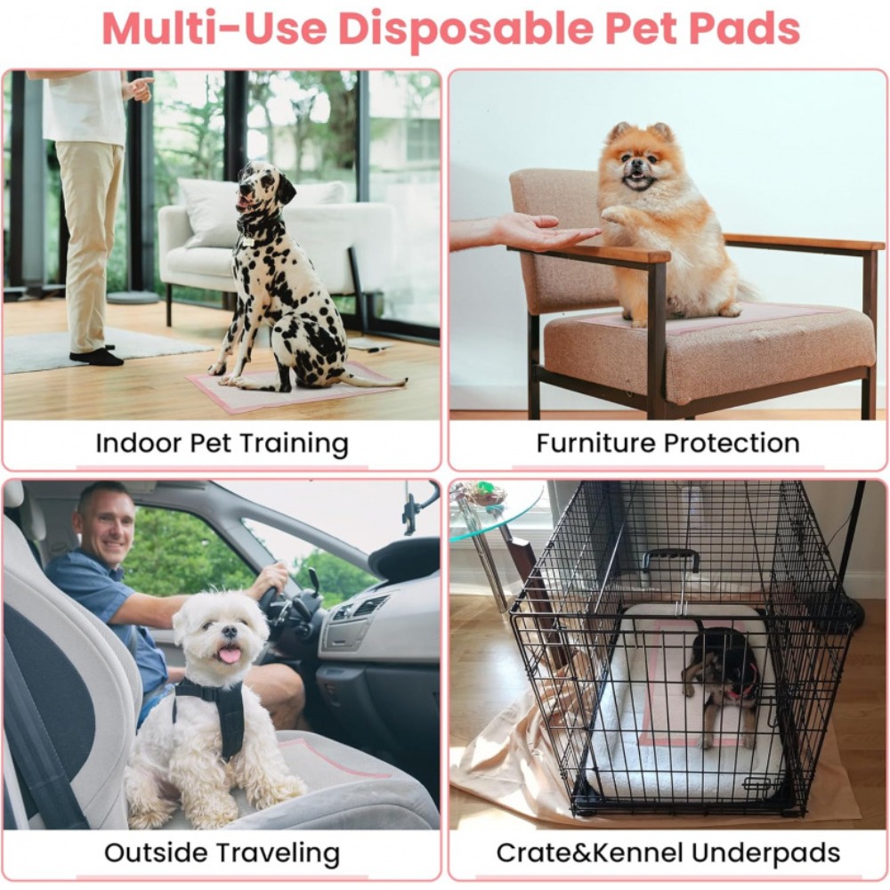 100/50/30/20/10 Adet Evcil Hay - Pet Supplies Wholesale incelemesi ve fiyatı
