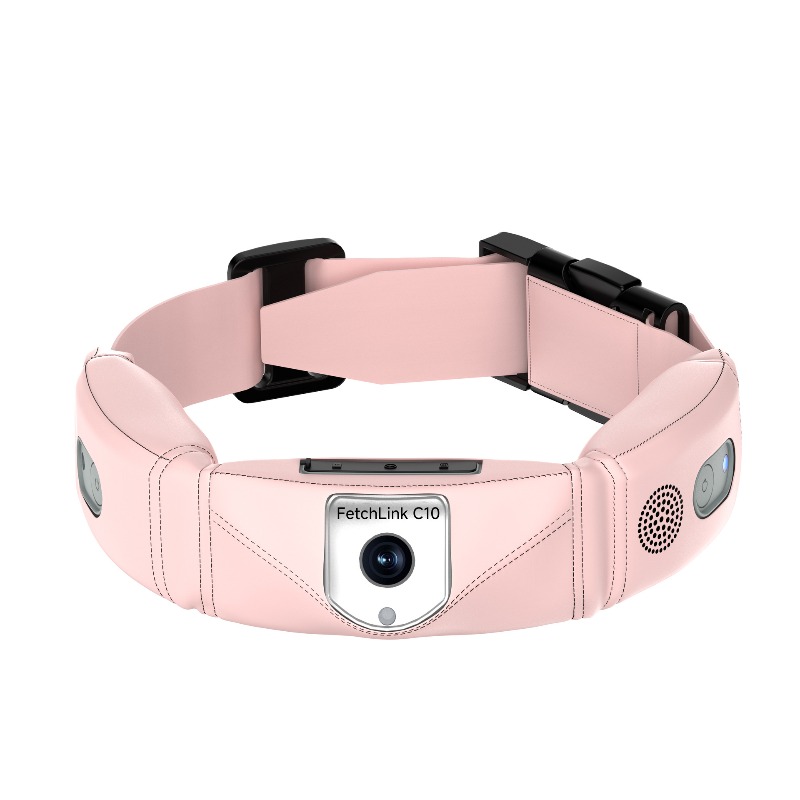 GPS İzleyici, 4K Kamera ve Yap - Pet Gps Tracker Collar incelemesi ve fiyatı
