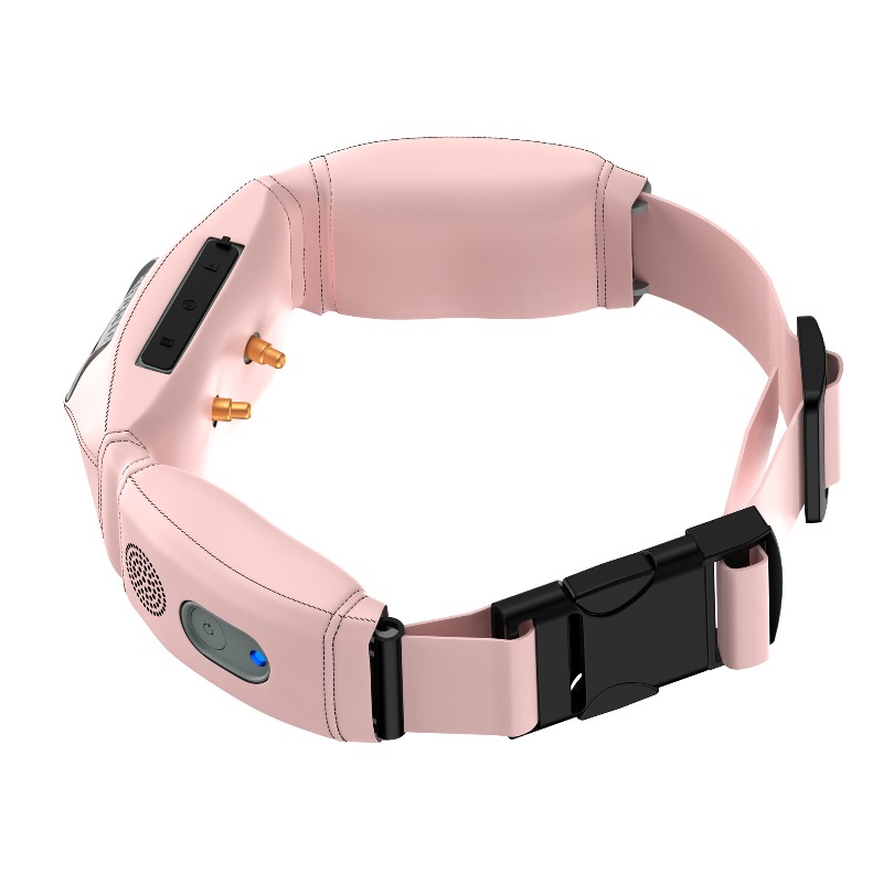 GPS İzleyici, 4K Kamera ve Yap - Pet Gps Tracker Collar incelemesi ve fiyatı