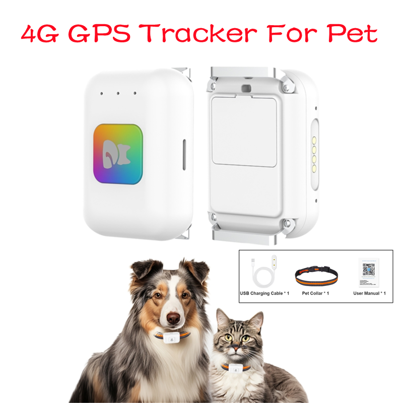 Renkli LED Işıklı GPS Evcil Ha - Pet Gps Tracker Collar incelemesi ve fiyatı