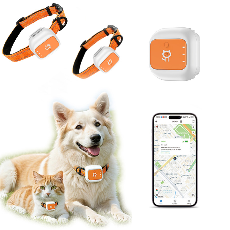 Evcil hayvan GPS takip cihazı  - Pet Gps Tracker Collar incelemesi ve fiyatı
