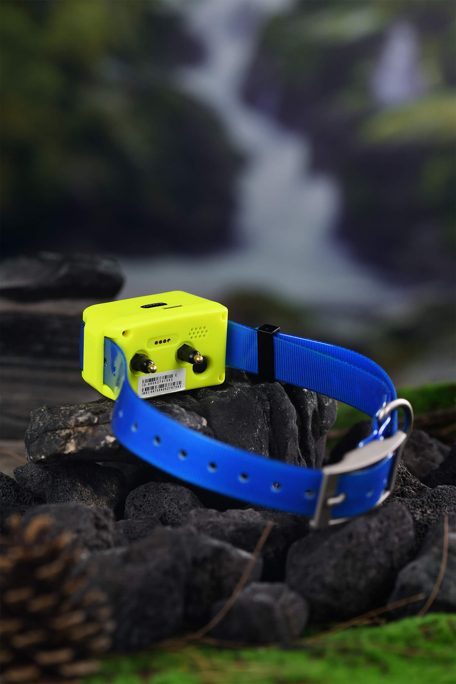 4G Hound GPS İzleyici Tasması  - Pet Gps Tracker Collar incelemesi ve fiyatı