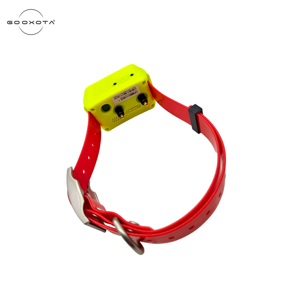 4G Hound GPS İzleyici Tasması  - Pet Gps Tracker Collar incelemesi ve fiyatı