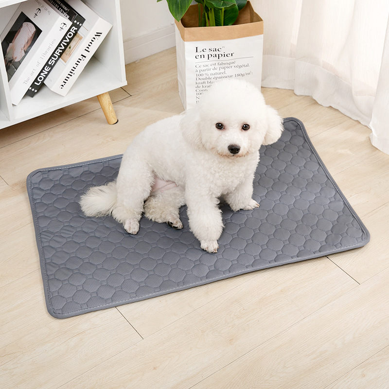 Yeniden Kullanılabilir Köpek Ç - Pet Supplies Wholesale incelemesi ve fiyatı