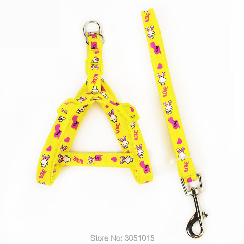 Toptan 20 adet Yavru Köpek Güv - Pet Supplies Wholesale incelemesi ve fiyatı