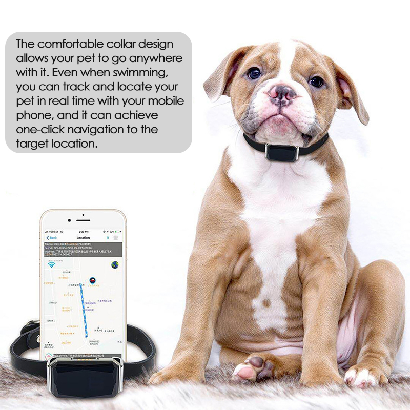 Evcil Hayvan GPS İzleyici Konu - Pet Gps Tracker Collar incelemesi ve fiyatı