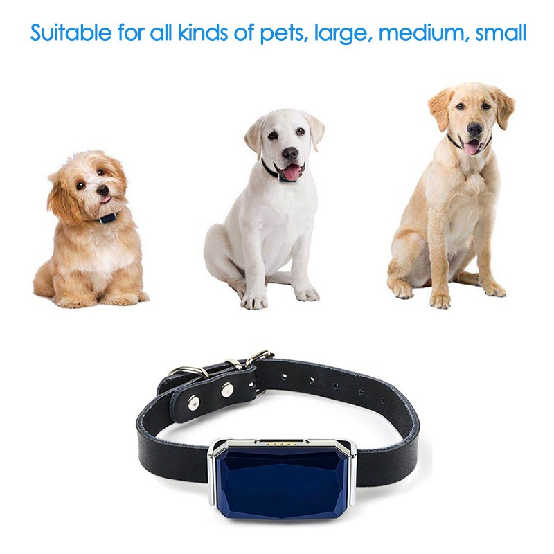 Evcil Hayvan GPS İzleyici Konu - Pet Gps Tracker Collar incelemesi ve fiyatı