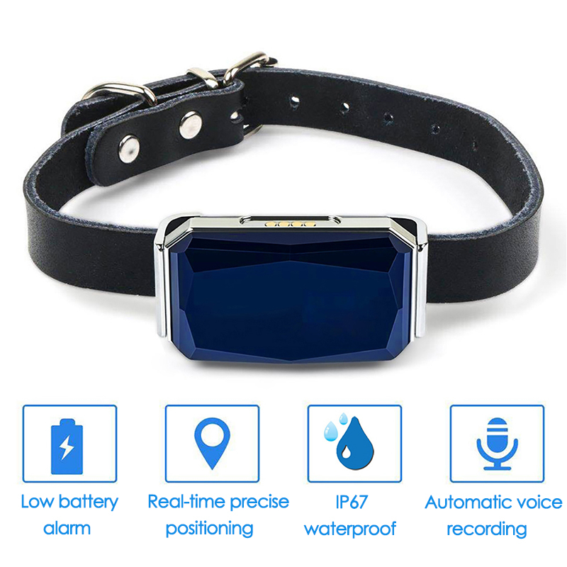 Evcil Hayvan GPS İzleyici Konu - Pet Gps Tracker Collar incelemesi ve fiyatı