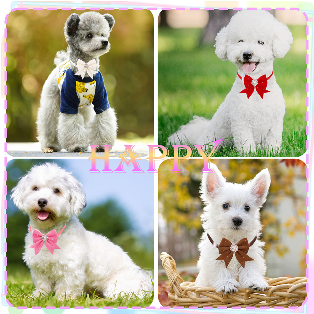 8 adet köpek tasması çiçek şer - Pet Supplies In Bulk incelemesi ve fiyatı
