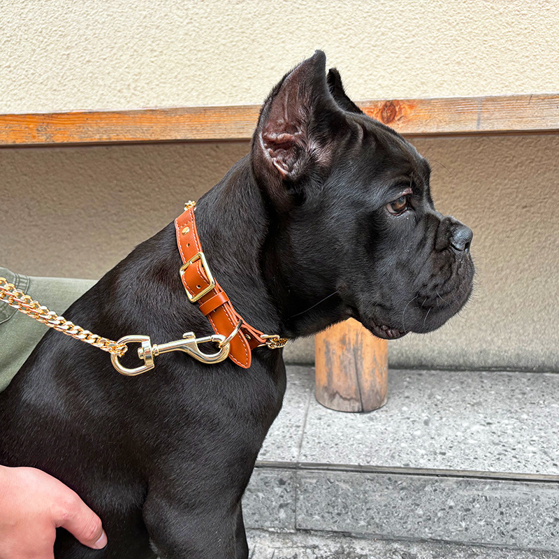 Loudik Toptan evcil hayvan tas - Pet Supplies Wholesale incelemesi ve fiyatı
