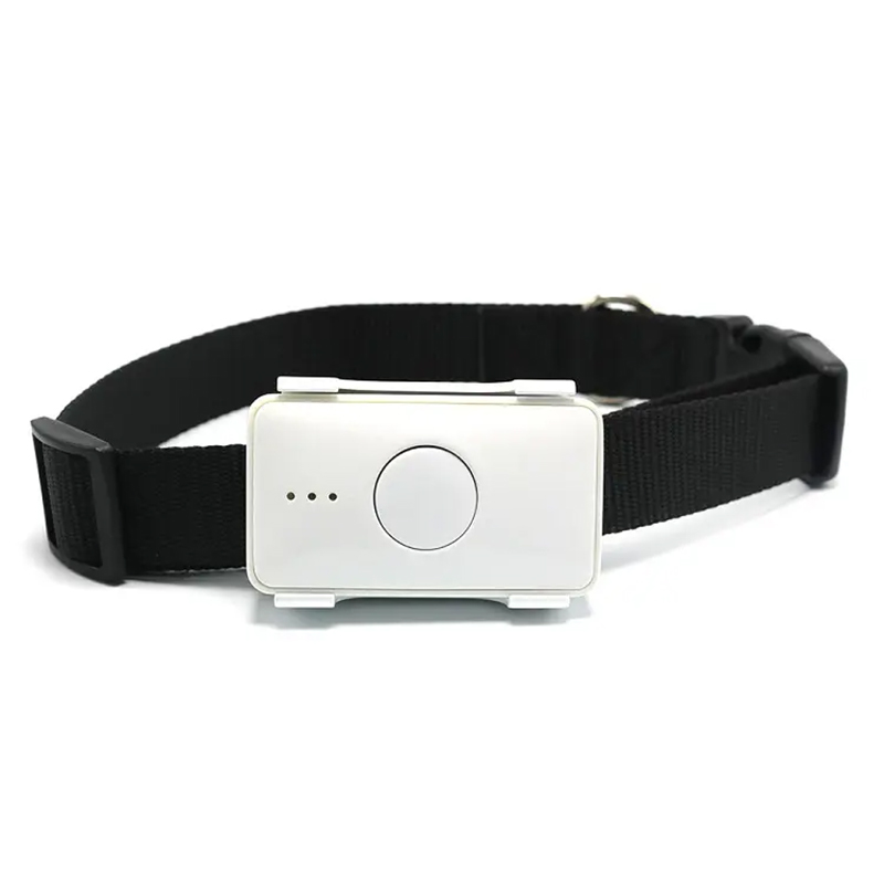 STLFSkylab Su Geçirmez Evcil H - Pet Gps Tracker Collar incelemesi ve fiyatı