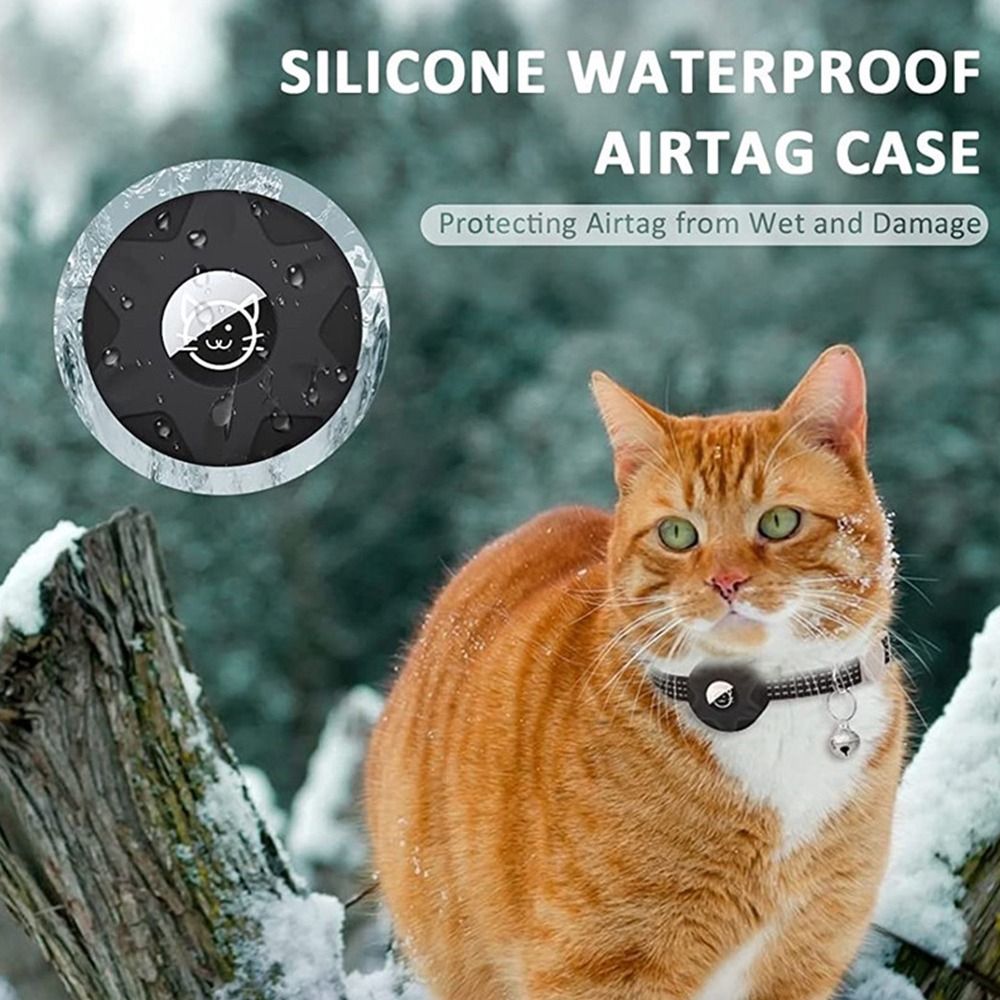 GPS izci kutusu ile Pet yaka y - Pet Gps Tracker Collar incelemesi ve fiyatı