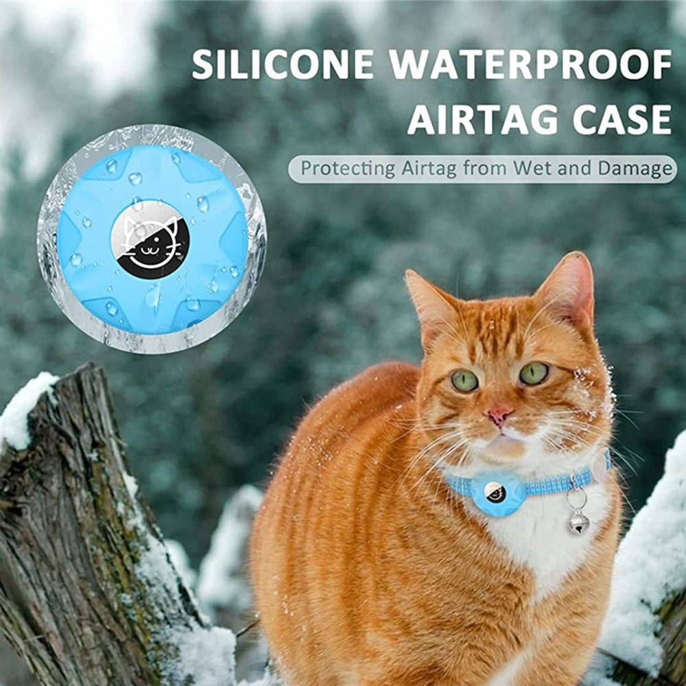 GPS izci kutusu ile Pet yaka y - Pet Gps Tracker Collar incelemesi ve fiyatı
