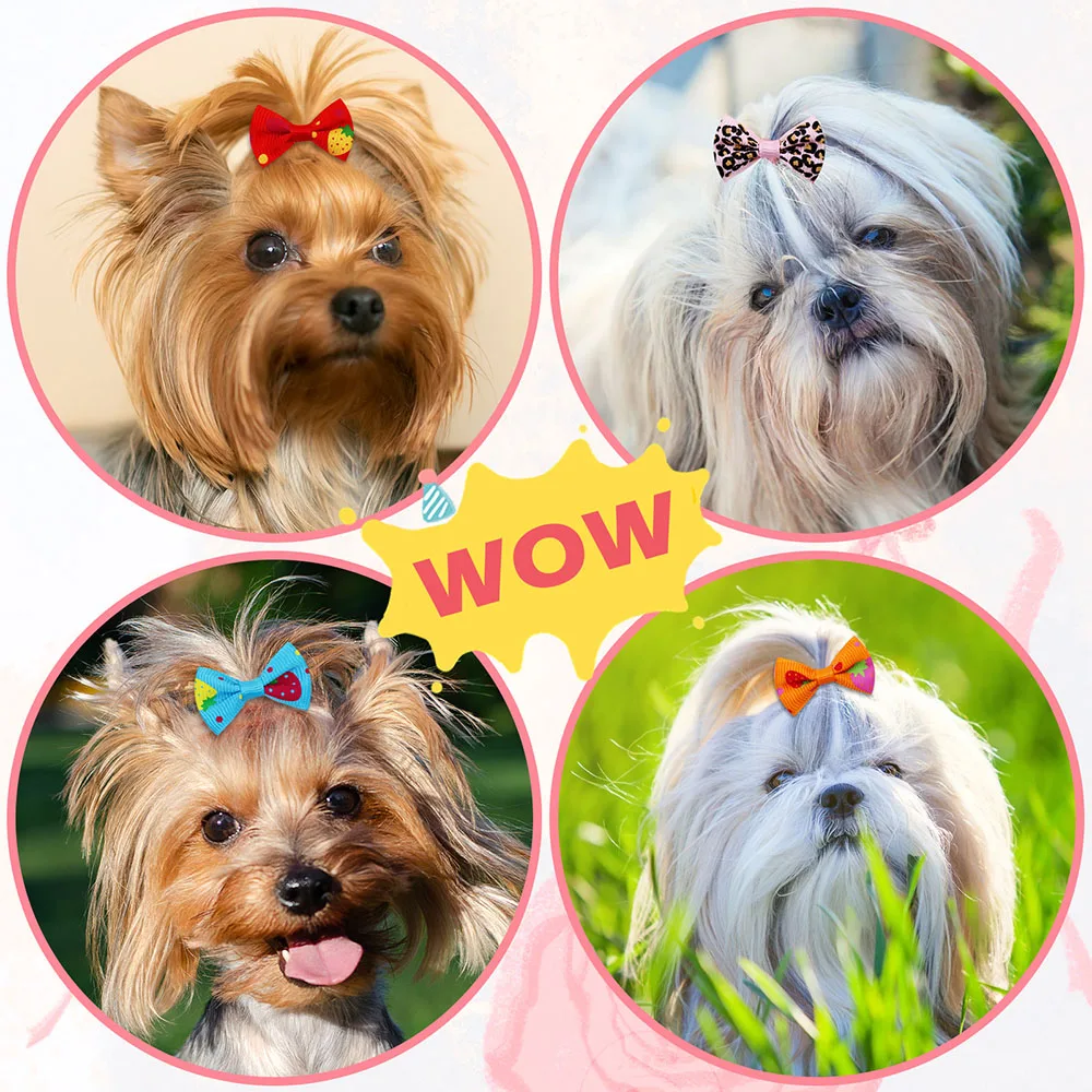50 adet köpek yayları lastik b - Pet Supplies In Bulk incelemesi ve fiyatı